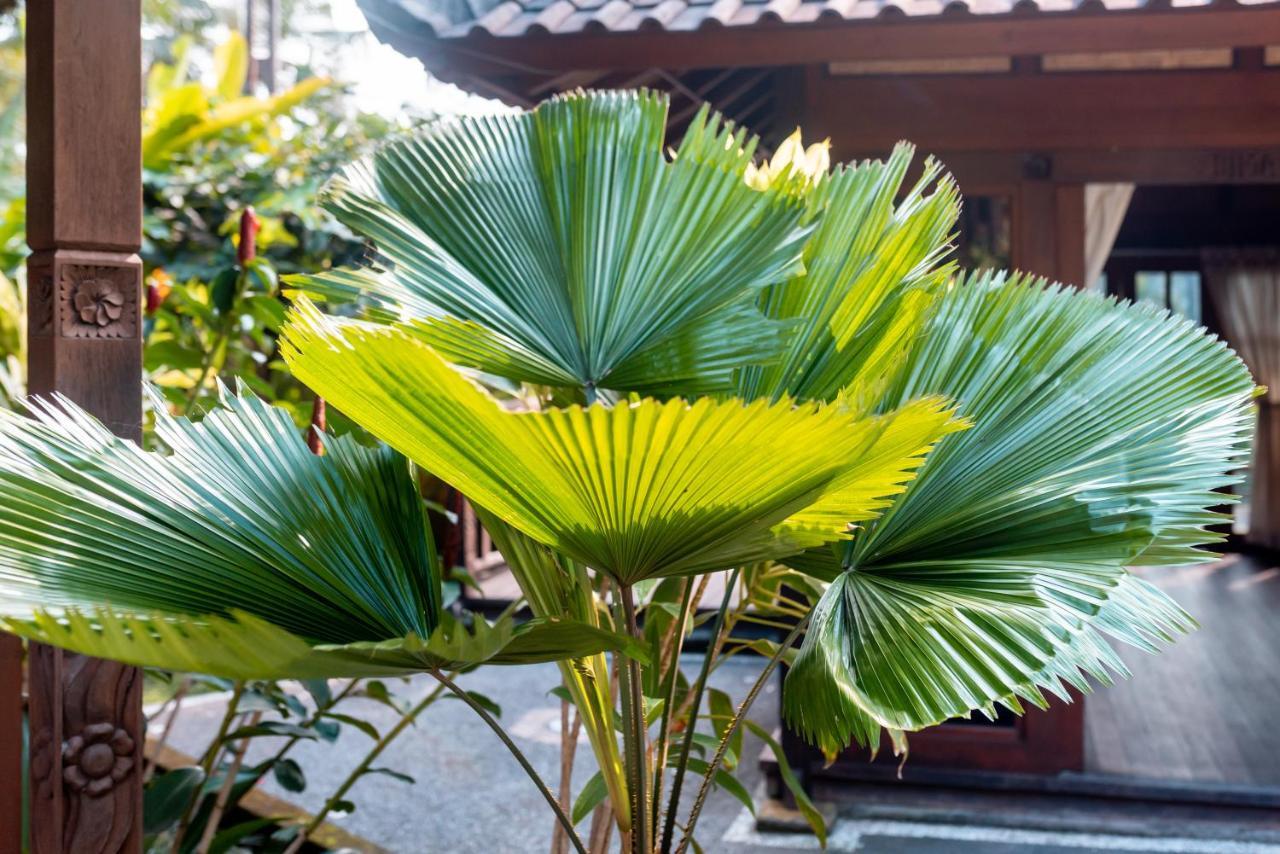Villa Waturenggong Ubud Luaran gambar